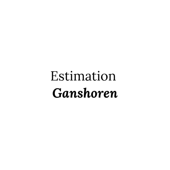 Estimation Ganshoren (1083)