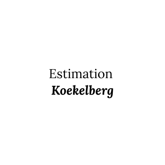 Estimation Koekelberg (1081)